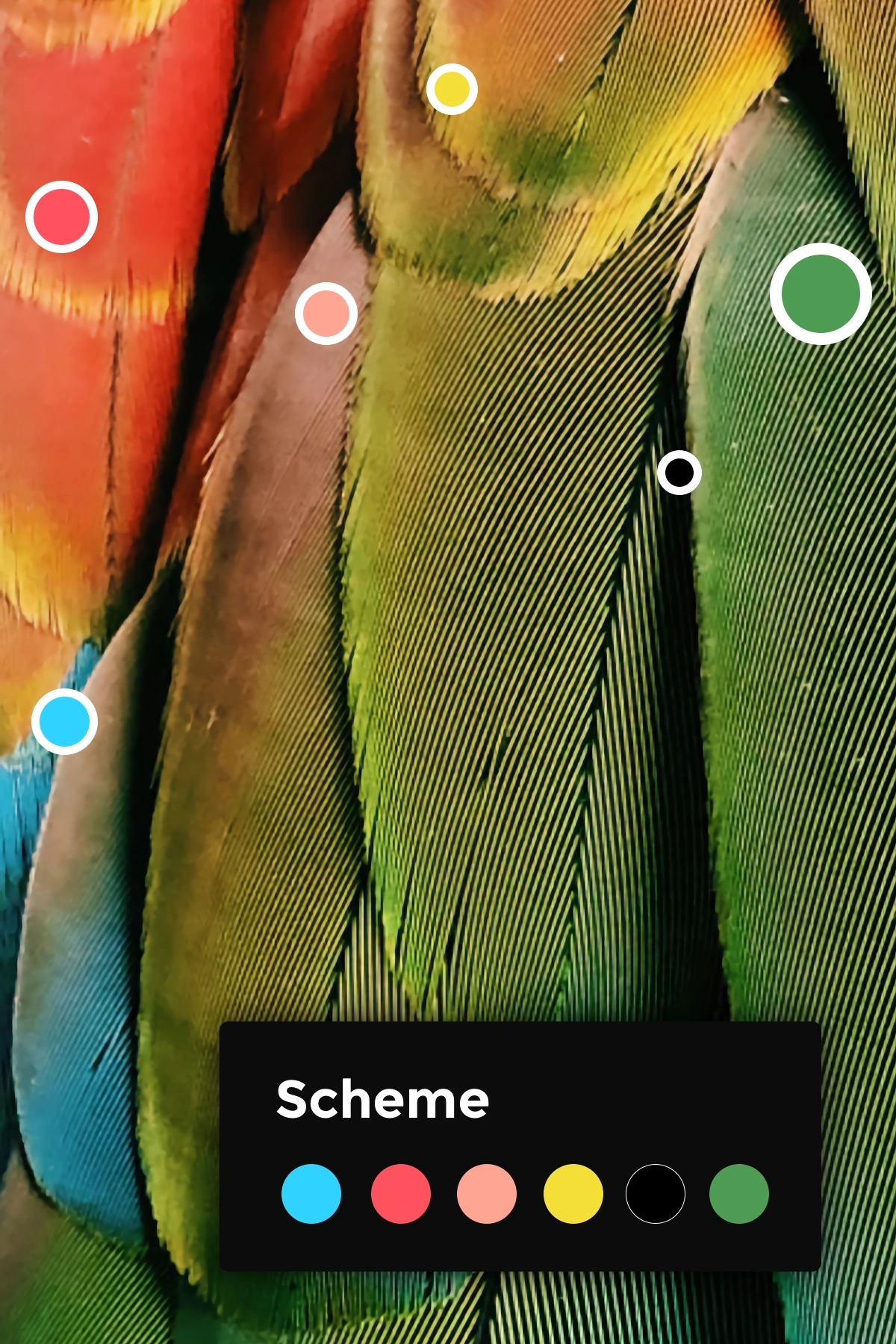 Intelligent Color Suggestion